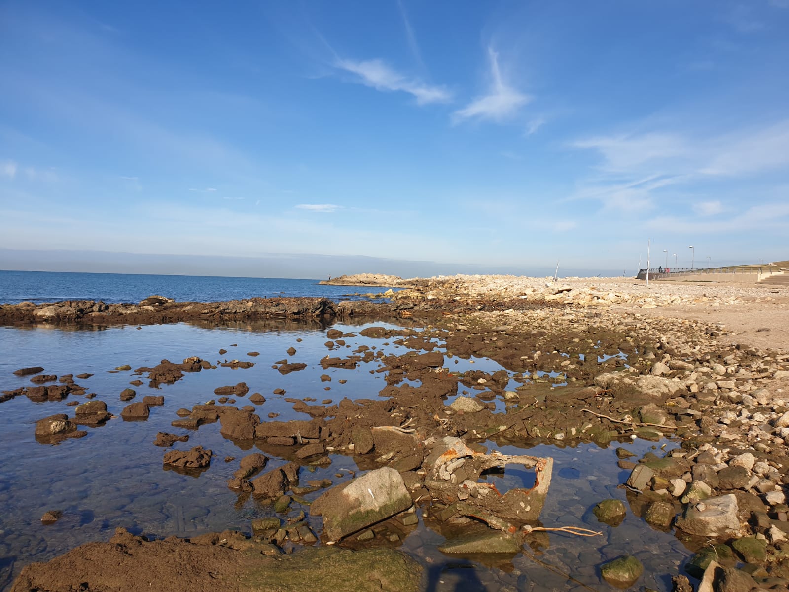 WhatsApp Image 2020-01-27 at 9.05.19 AM.jpeg.jpeg